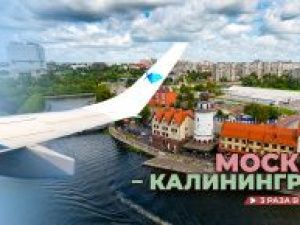 Добро пожаловать в Янтарный город!