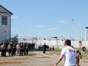 Нам пишут: Заключенные Якутии «диктуют» VIP-условия!    