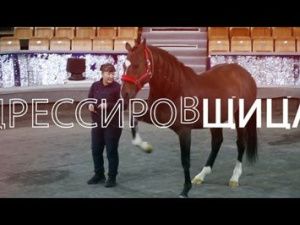 Человек труда: Дрессировщица и её подопечные
