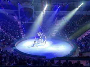 Юбилей Сахацирка! Готовится новое захватывающее зрелище