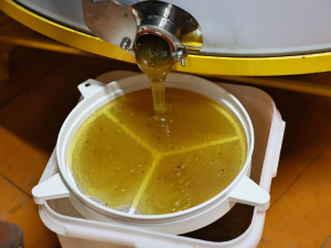 Хозяйство якутян Ионовых планирует стать племенным репродуктором республики по пчеловодству