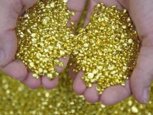 Генпрокуратура России потребовала взыскать с коммерческой организации более 27 млн рублей за самовольную добычу золота в Якутии