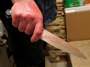 Житель Якутии убил родного брата, защищая мать