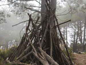 Под завалами дерева обнаружено тело