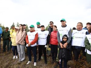 Сохраним лес: В пригороде Якутска высадили более тысячи саженцев деревьев