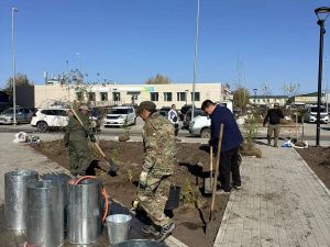 Итоги экологической акции «Пригороды - городу»: 884 новых дерева за одну неделю