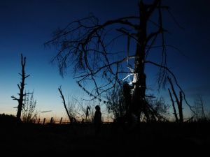 Мистическая драма «Кукушка»: режиссер, подобно шаману, выходит к сакральным, мистериальным измерениям 