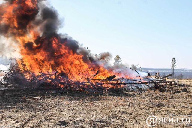 Поджигатель леса заплатит почти миллион рублей