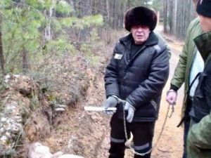 "Это не человек", - рассказал подполковник в отставке о "якутском Чикатило"