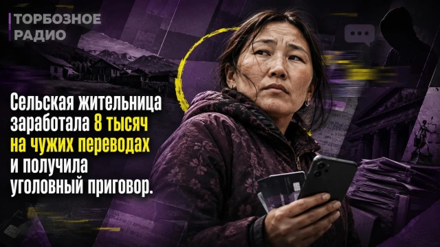 Сельская жительница заработала 8 тысяч на чужих переводах и получила уголовный приговор