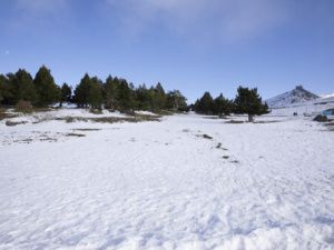 Пропавший пенсионер: Найдены следы