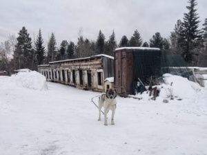 Бурматов сгинул, а что закон?