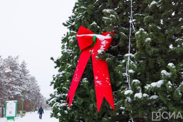 Спрос на новогодний декор на Дальнем Востоке вырос вдвое