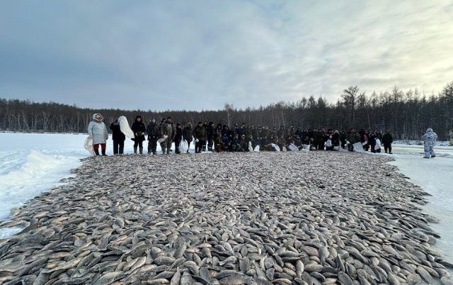 Фотофакт: вот это улов!