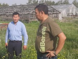 Более 2 тысяч тонн овощей планируют произвести хозяйства Хангаласского улуса