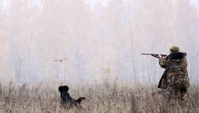 Минэкологии: передача права на получение разрешения на охоту неправомерна