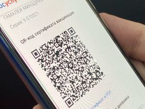 Якутянам пояснили порядок действий при отсутствии QR-кода на Госуслугах