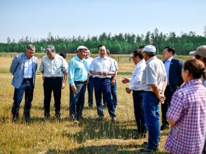 Айсен Николаев провел выездное совещание по кормозаготовительной кампании в заречной группе районов