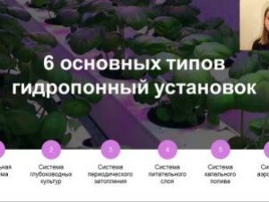 Якутская школьница разработала проект гидропонной установки