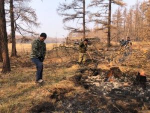 В Чурапчинском улусе принимаются меры по ликвидации лесного пожара в Хатылынском наслеге