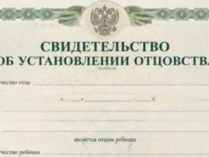В Якутии иностранцу аннулировали вид на жительство за фиктивное отцовство