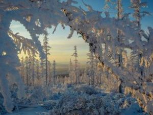 Гидрометцентр: температура в Якутии опустится до минус 56 градусов