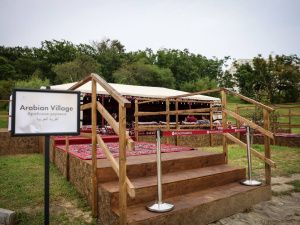 Фоторепортаж с первого дня ВЭФ-2023: улица Дальнего Востока и культурная программа