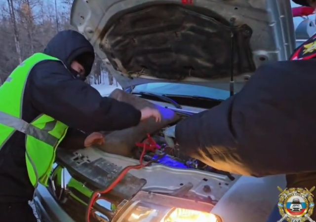 Автомобиль заглох: мать с детьми чуть не замерзли…