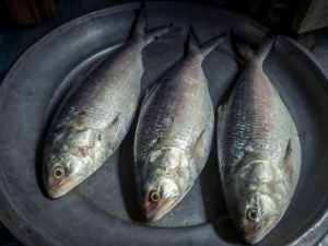 Житель Якутии избил знакомую, обвинив ее в краже рыбы