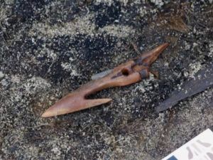 Уникальные археологические находки якутских учёных на острове Четырехстолбовом: древний гарпун IX века и тайны морских арктических китобоев