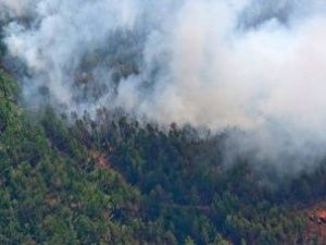 За сутки в Якутии потушили 11 лесных пожаров