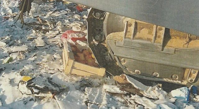 На полигоне Якутска уничтожили зараженные яблоки