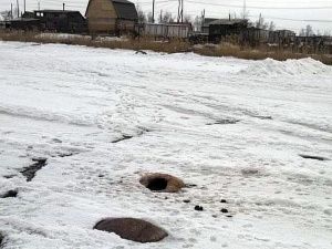 Мэрия Якутска:  Трупы девяти лошадей, вмерзших в лёд на озере в районе СОТ «Птицевод» будут убраны