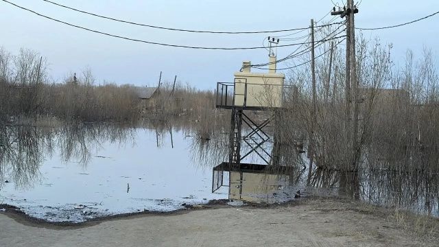Утром дождь, днём без осадков. О погоде в Якутии 20 мая