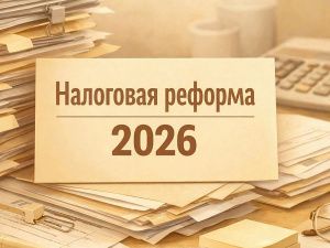 Госдума одобрила налоговую реформу в первом чтении: полный перечень поправок