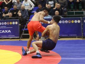 Борцы Тимур Николаев и Никита Софронов завоевали титулы абсолютных чемпионов турнира Ноговицыных