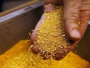 Росгеология ожидает прироста ресурсов алмазов, драгметаллов и угля в Якутии в 2019 году