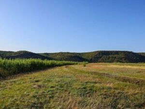 25 и 26 февраля в Якутске будут распределять земельные участки участникам СВО