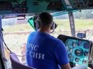 Пожары находятся на особом контроле МЧС России