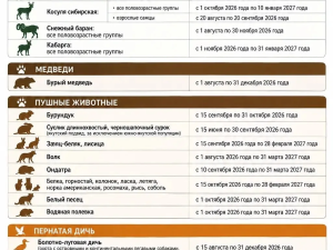 Установлены сроки охоты на летне-осенний и осенне-зимний периоды