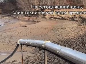 Олекминчане протестуют против «экологического вандализма». Видео