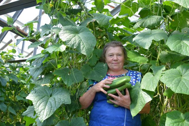 Якокитский агропром