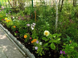 Награждение победителей конкурса "Зеленый кубок столицы 2025" прошло в Парке Победы