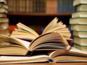 Носителей английского языка пригласят для работы в международной арктической школе Якутии