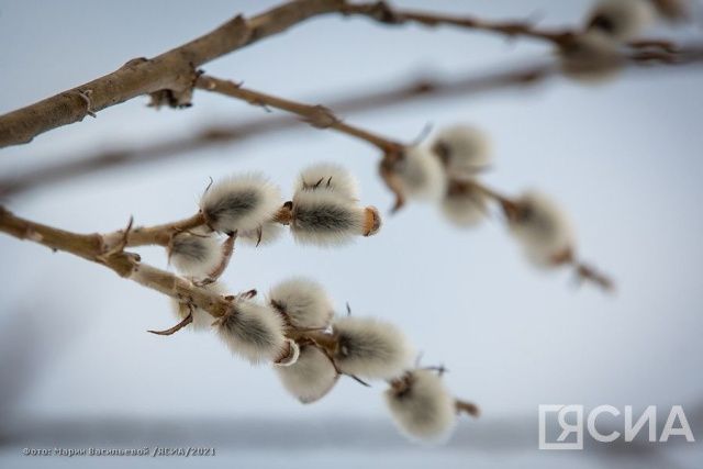 Народные приметы на 19 апреля 2024 года: что нельзя делать в этот день