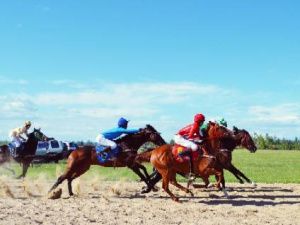 В День России состоялись конные скачки — отборочные на приз Ил Дархана