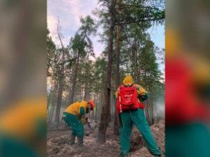 В Якутии тушат 23 лесных пожара