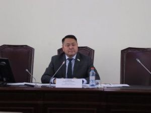 ДЕПУТАТЫ ГОРДУМЫ ПОДДЕРЖАЛИ ЗАКОНОПРОЕКТ ПО УЖЕСТОЧЕНИЮ РЕАЛИЗАЦИИ АЛКОГОЛЬНОЙ ПРОДУКЦИИ