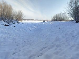 На острове реки Лены найдено тело пропавшего мужчины