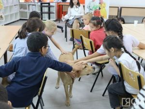 В детской библиотеке Якутска прошло занятие с собакой по кличке Лекси